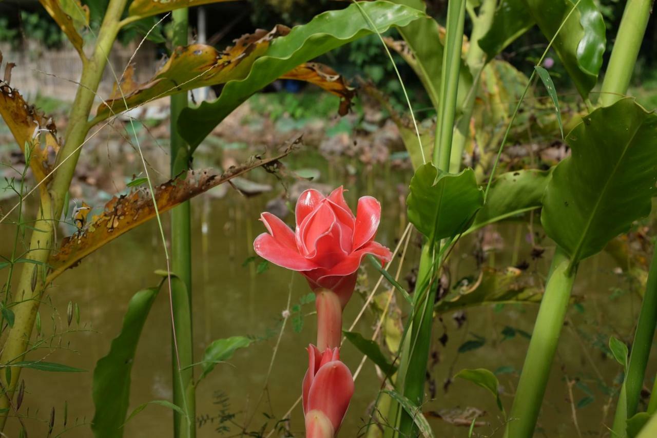 Phrao Rai Boonsom 아파트 외부 사진